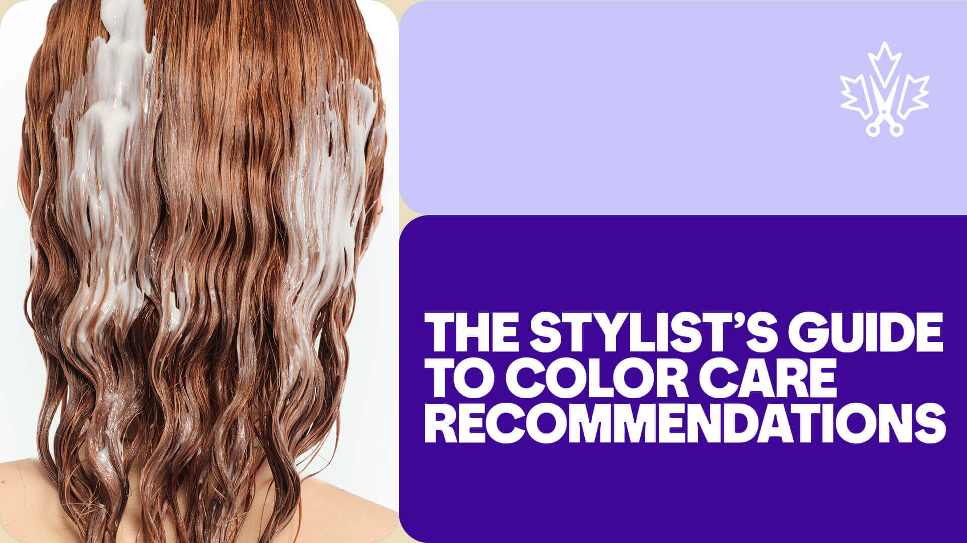 Color Care Recommendations Feature