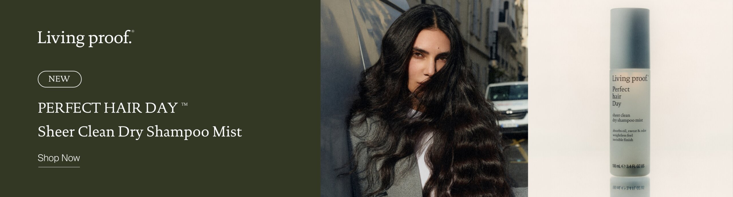 LVP_DryShampoo_Banner_2600x700
