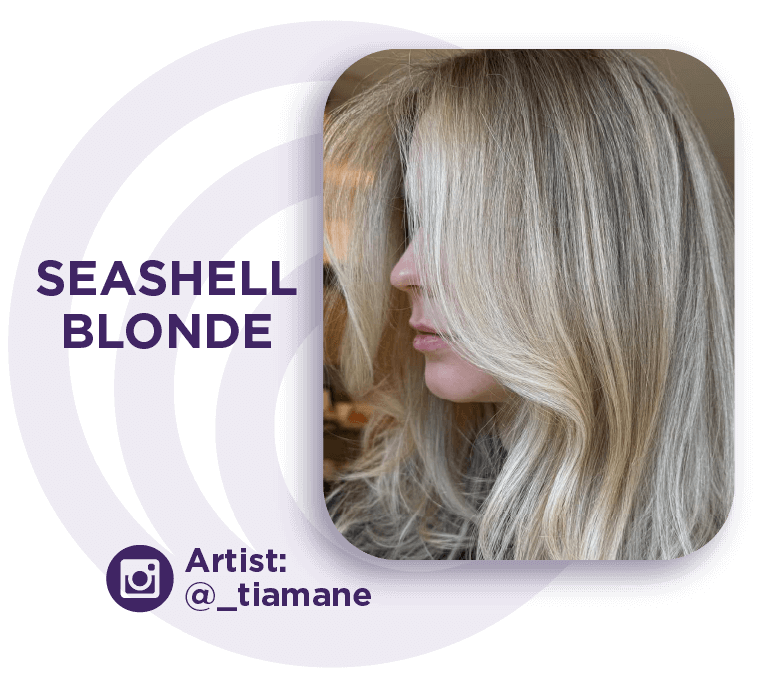Redken Shades EQ Formula Seashell Blonde