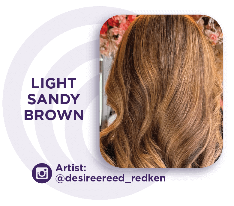 Redken Shades EQ Formula Light Sandy Brown